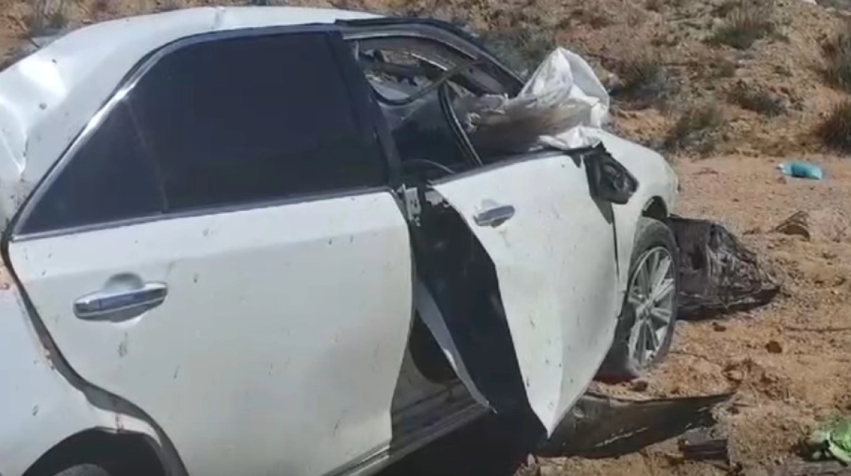 Фото: скриншот из видео