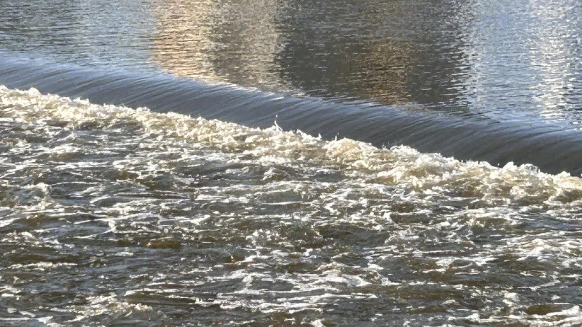 Фото: Марк Брюшко