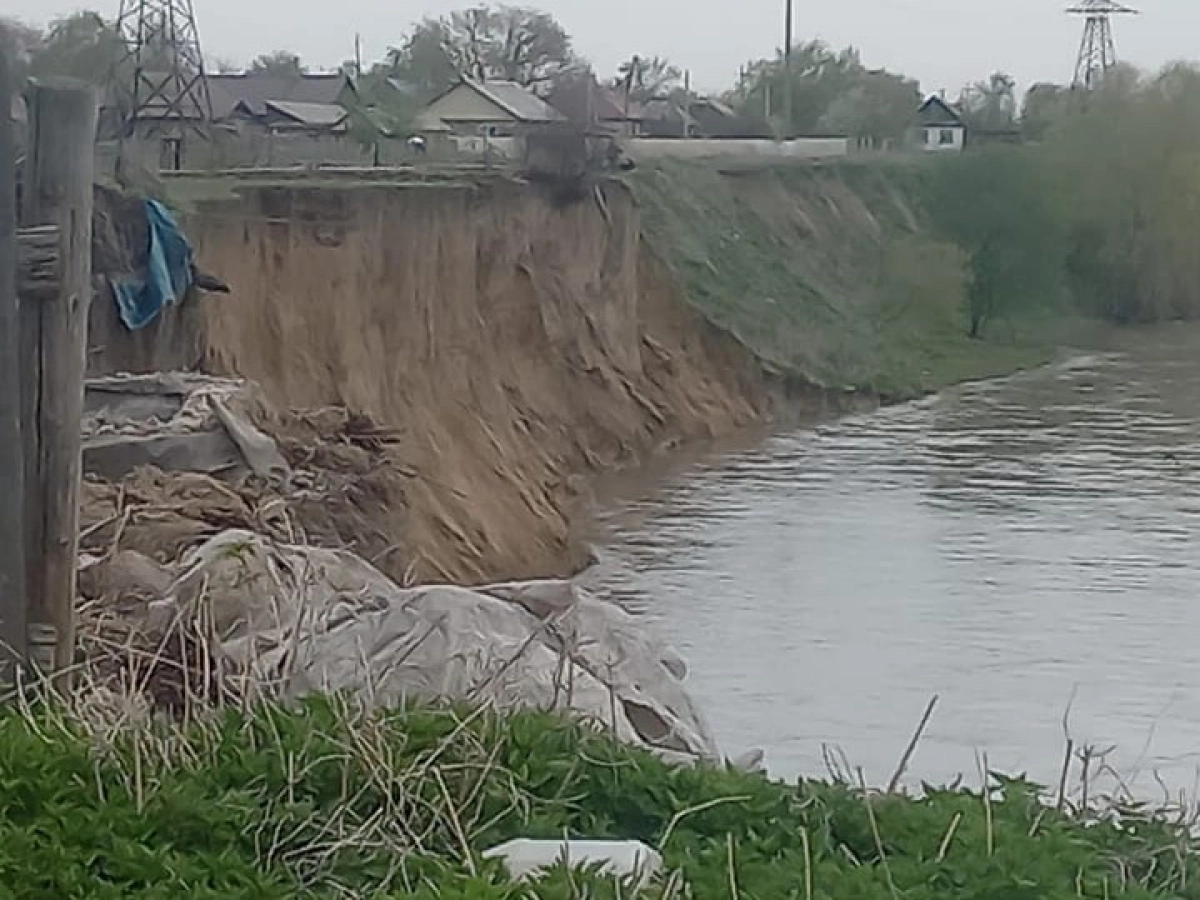 Фото:  YK-news.kz