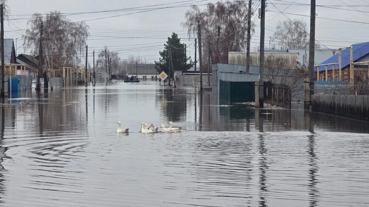 Фото: ИА «NewTimes.kz»