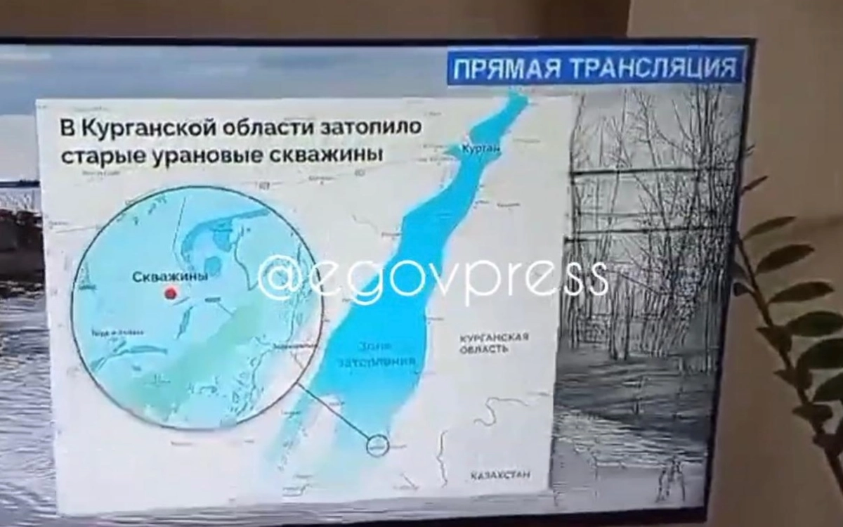 Фото: скриншот из видео