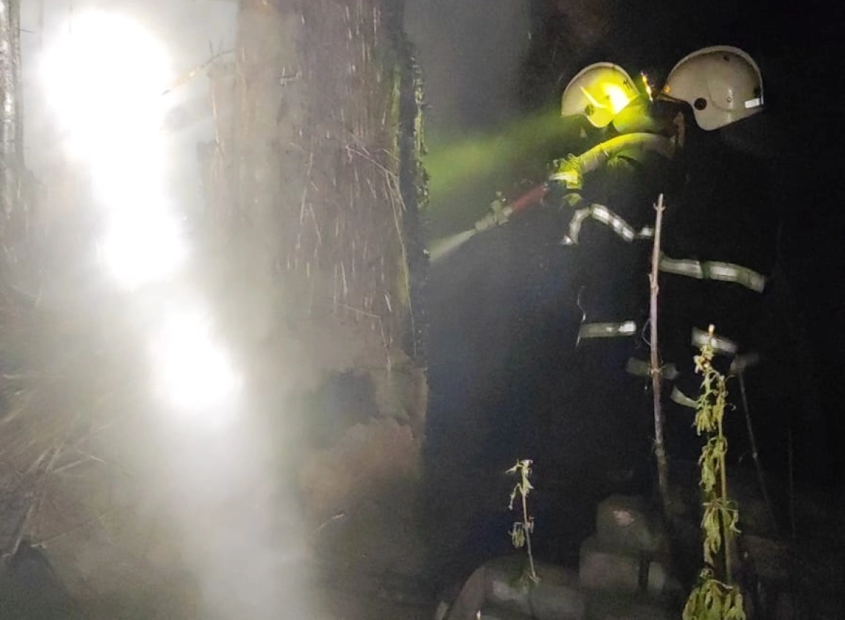 Фото: ДЧС Павлодарской области