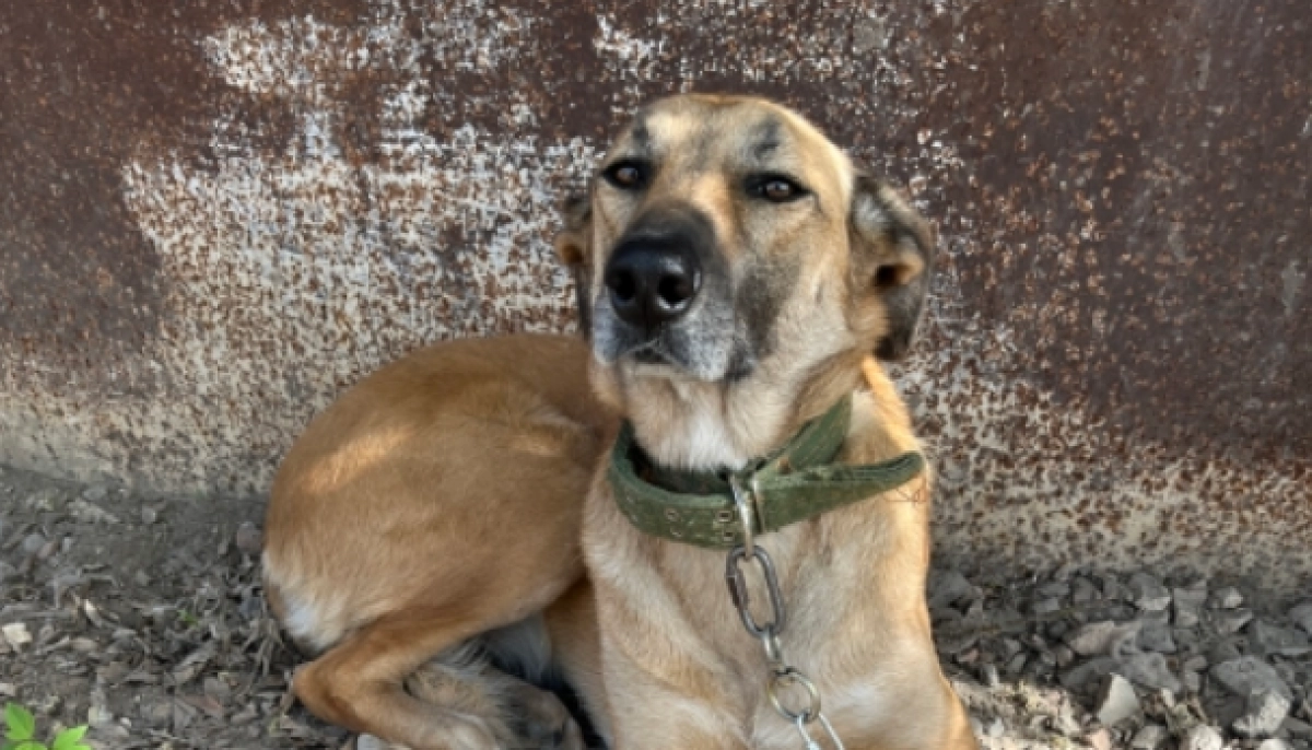 Фото: Диапазон/Наталья Макеенко