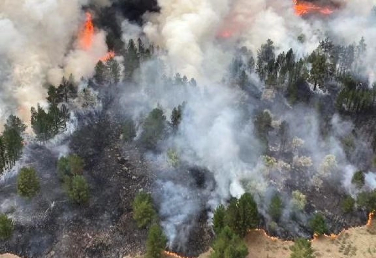 Фото: Telegram-канал Abay News