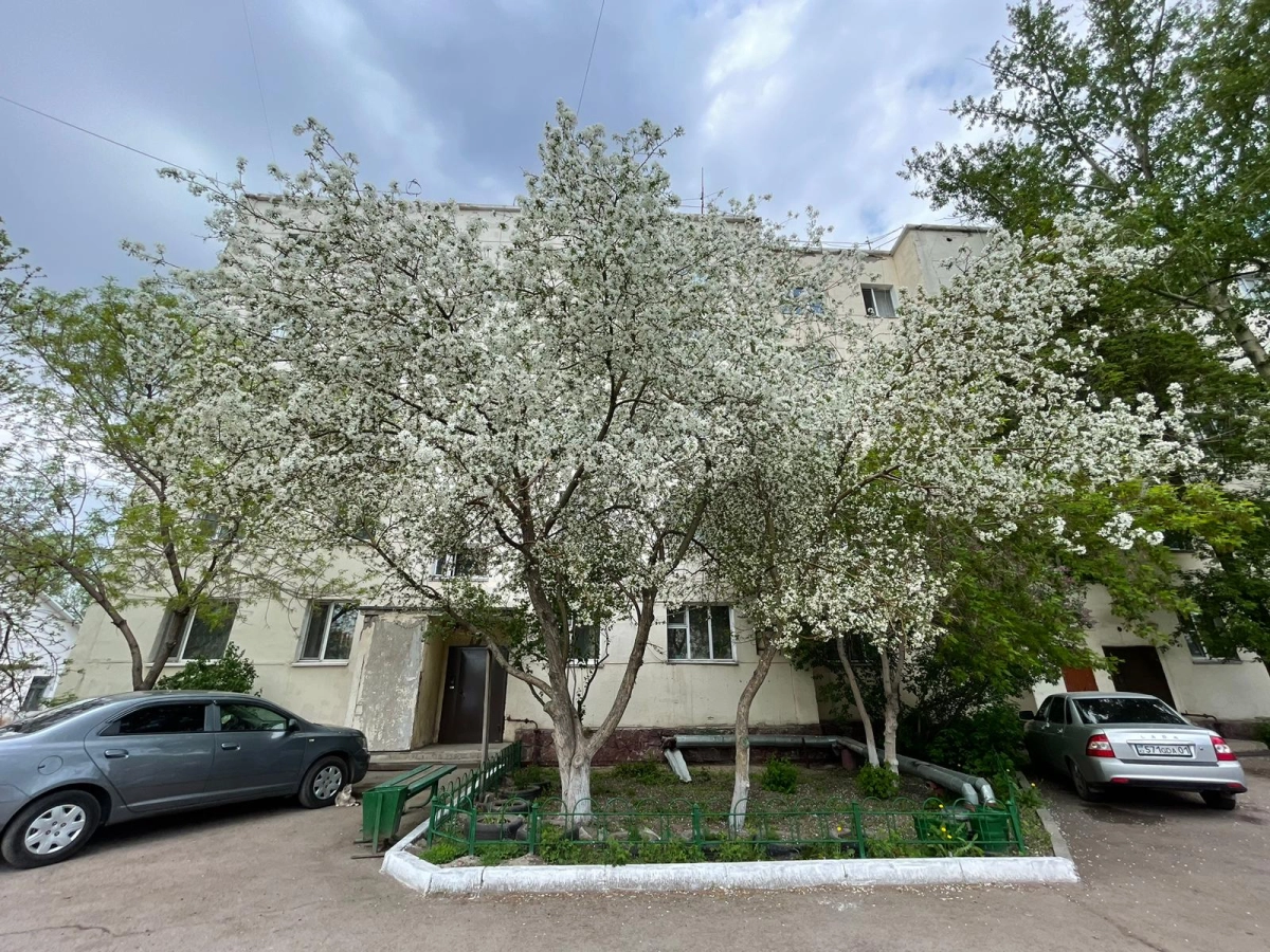 Фото ИА «NewTimes.kz»