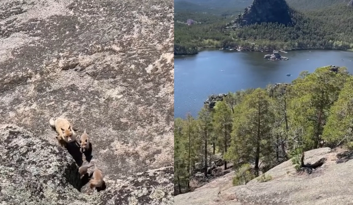 коллаж ИА «NewTimes.kz»/ кадр из видео instagram/abdulla__aslan