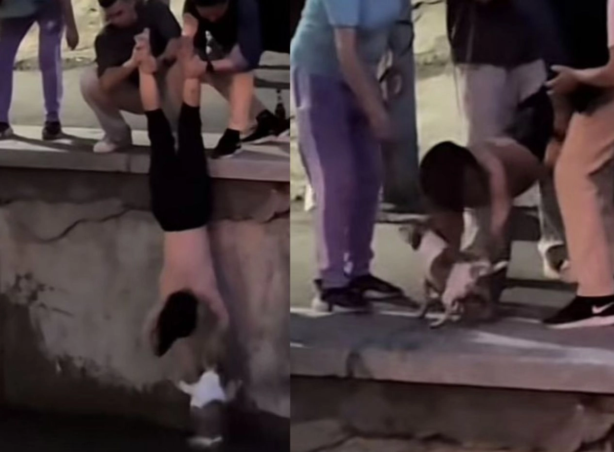 Фото: скриншот из видео, коллаж - NT