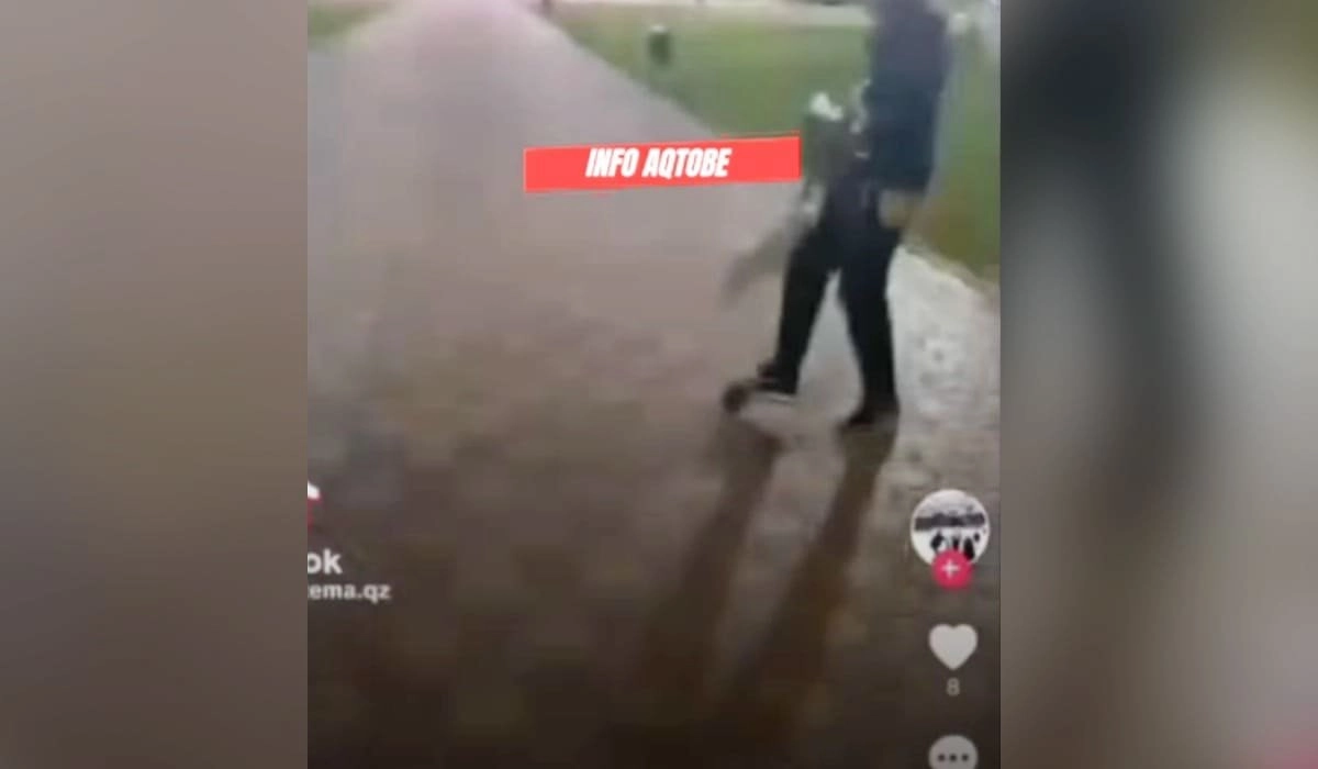 Кадр из видео