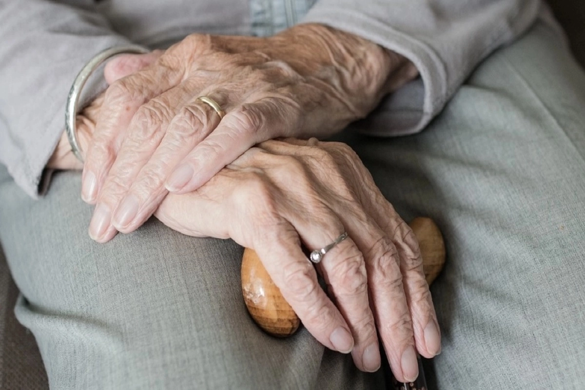 Фото: pixabay.com