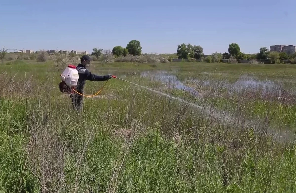 Фото: Аlmaty.tv