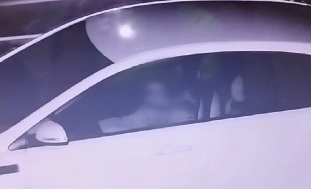 Фото: скриншот из видео