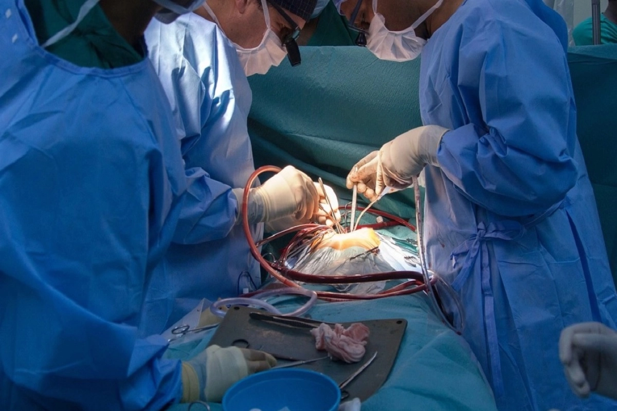 Фото: pixabay.com