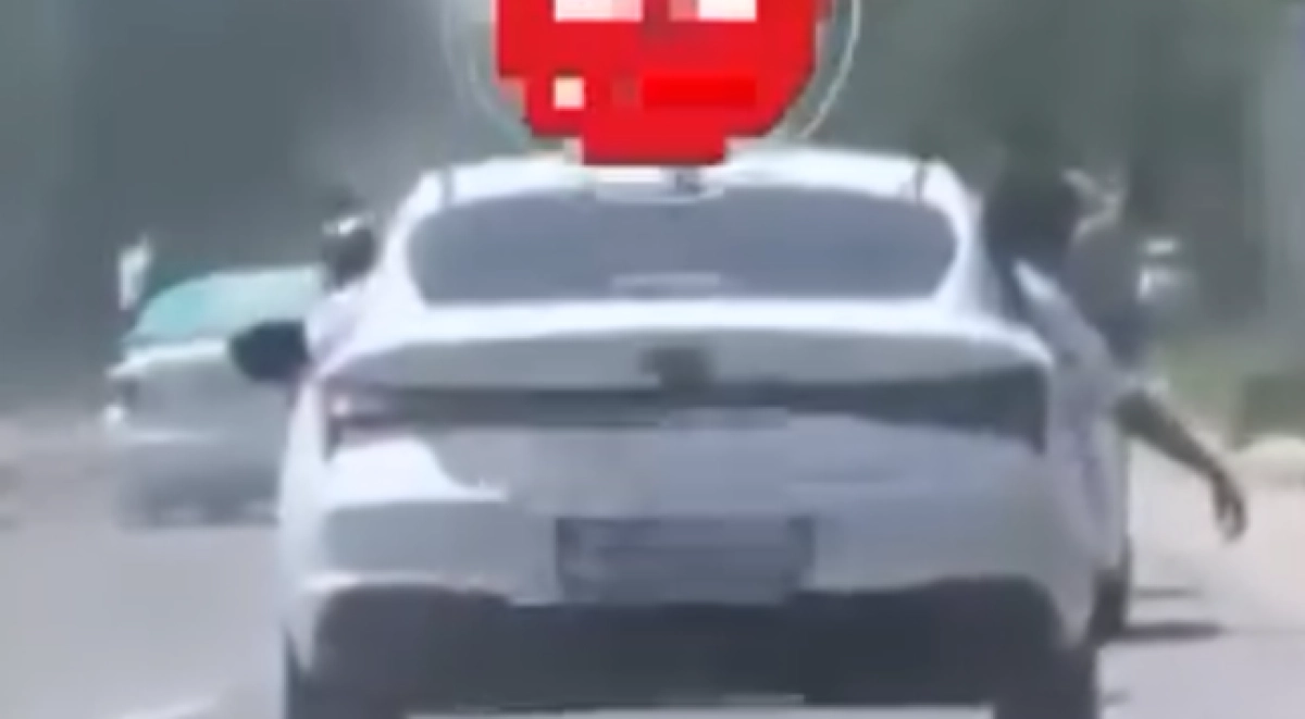 Фото: кадр из видео