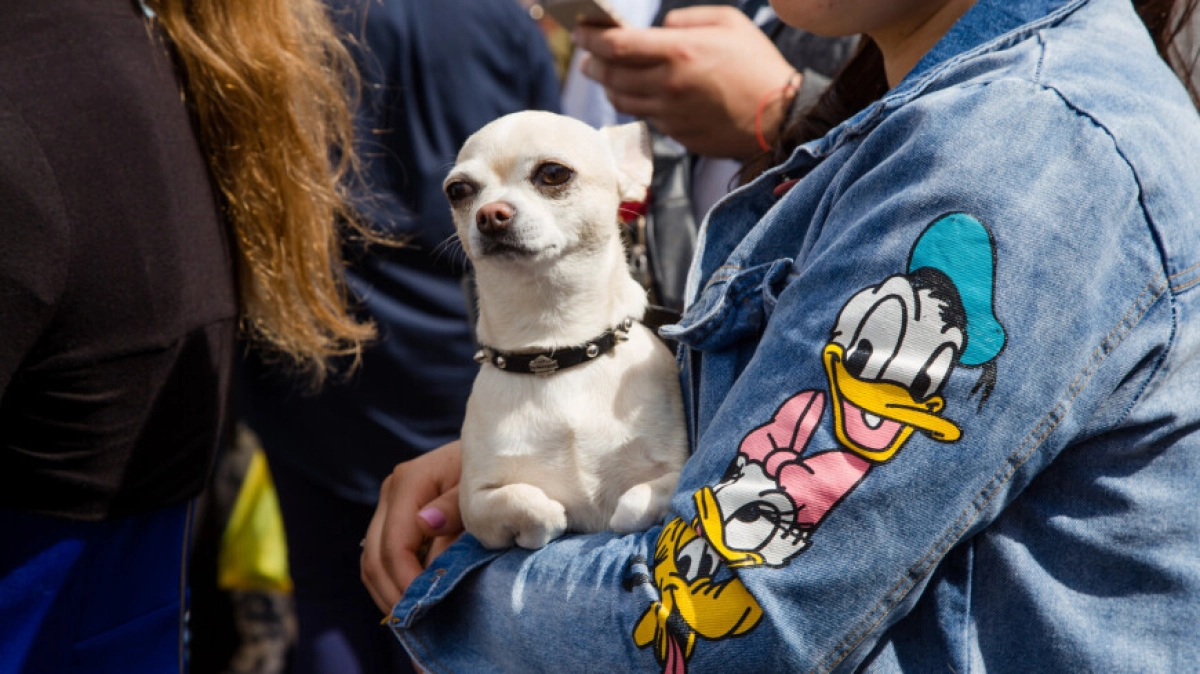 Фото : МТРК «Мир» / Андросова Мария