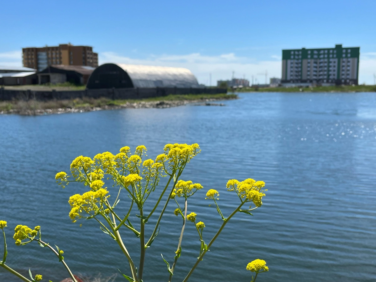 Фото ИА «NewTimes.kz»