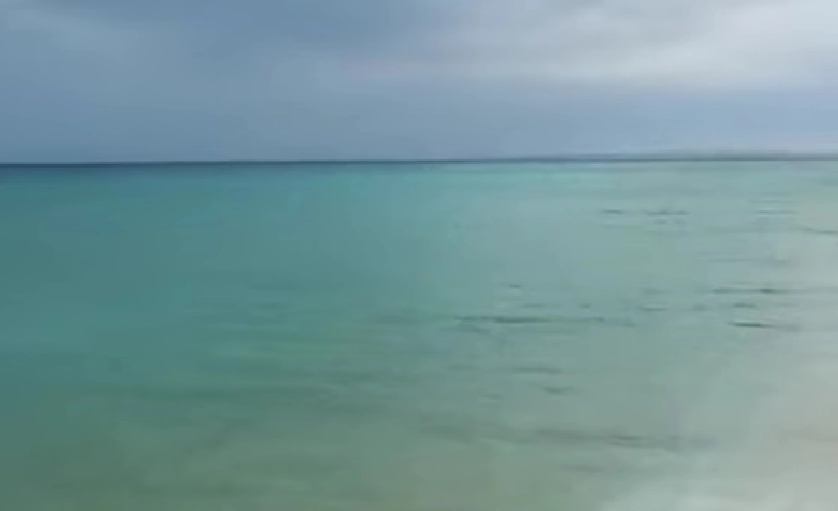 Фото: скриншот из видео