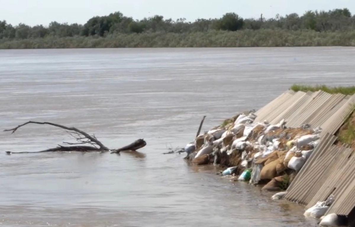 Фото: скриншот из видео