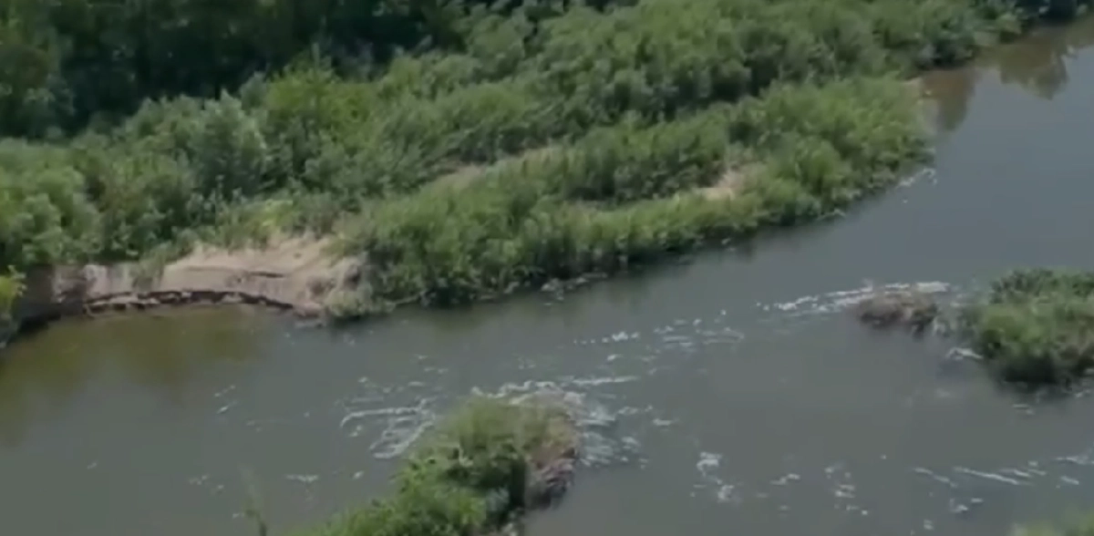 Фото: кадр из видео