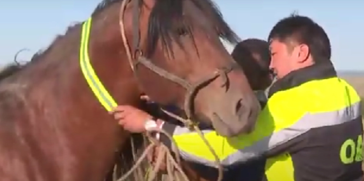 Фото: кадр из видео