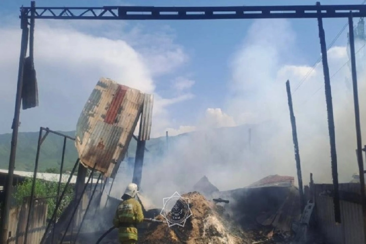 Фото: МЧС РК