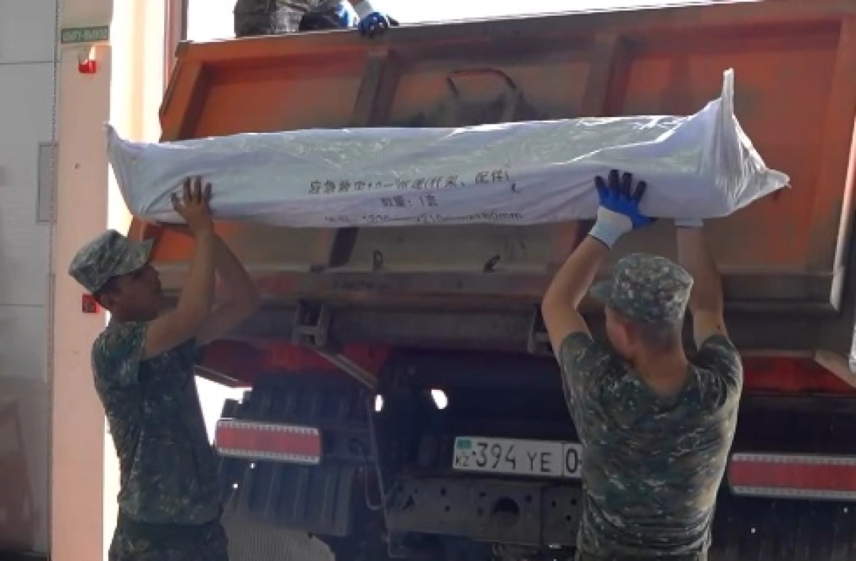 Фото: скриншот из видео