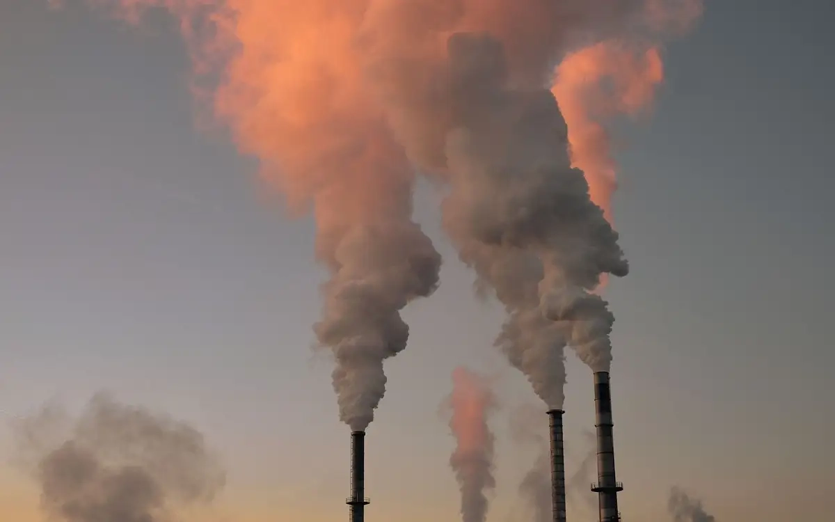 Фото: pixabay.com