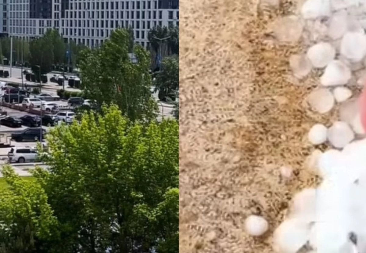 Фото: скриншот из видео, коллаж NT