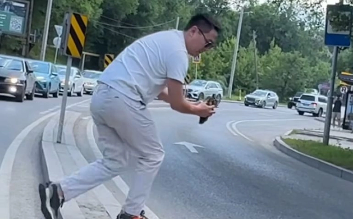 Фото: скриншот из видео