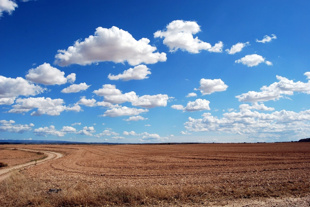 Фото: pixabay.com