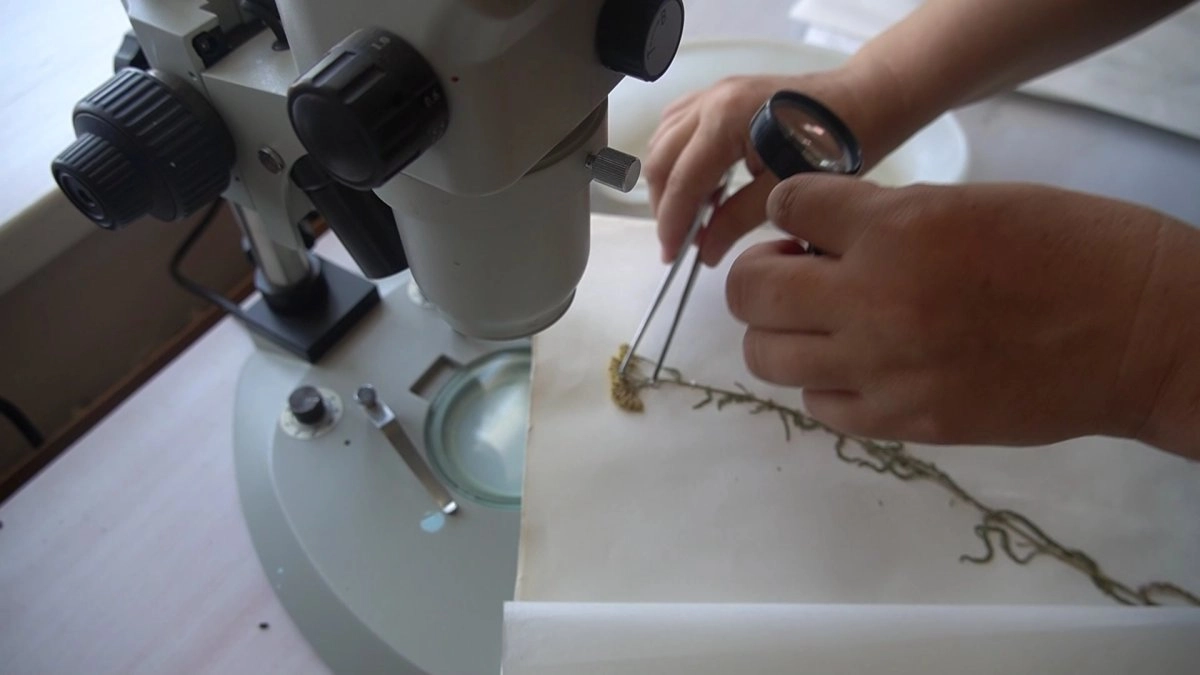 Кадр из видео/ AstanaTV