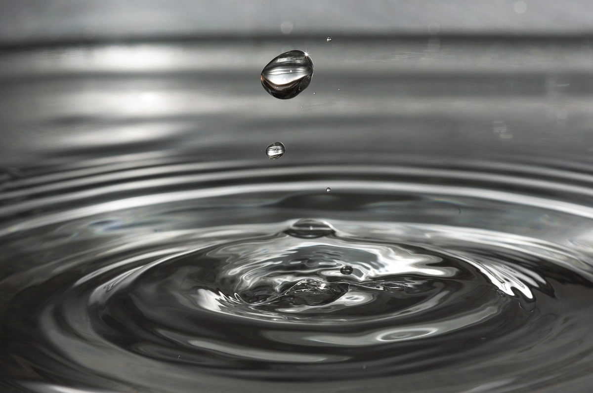 Фото: pixabay