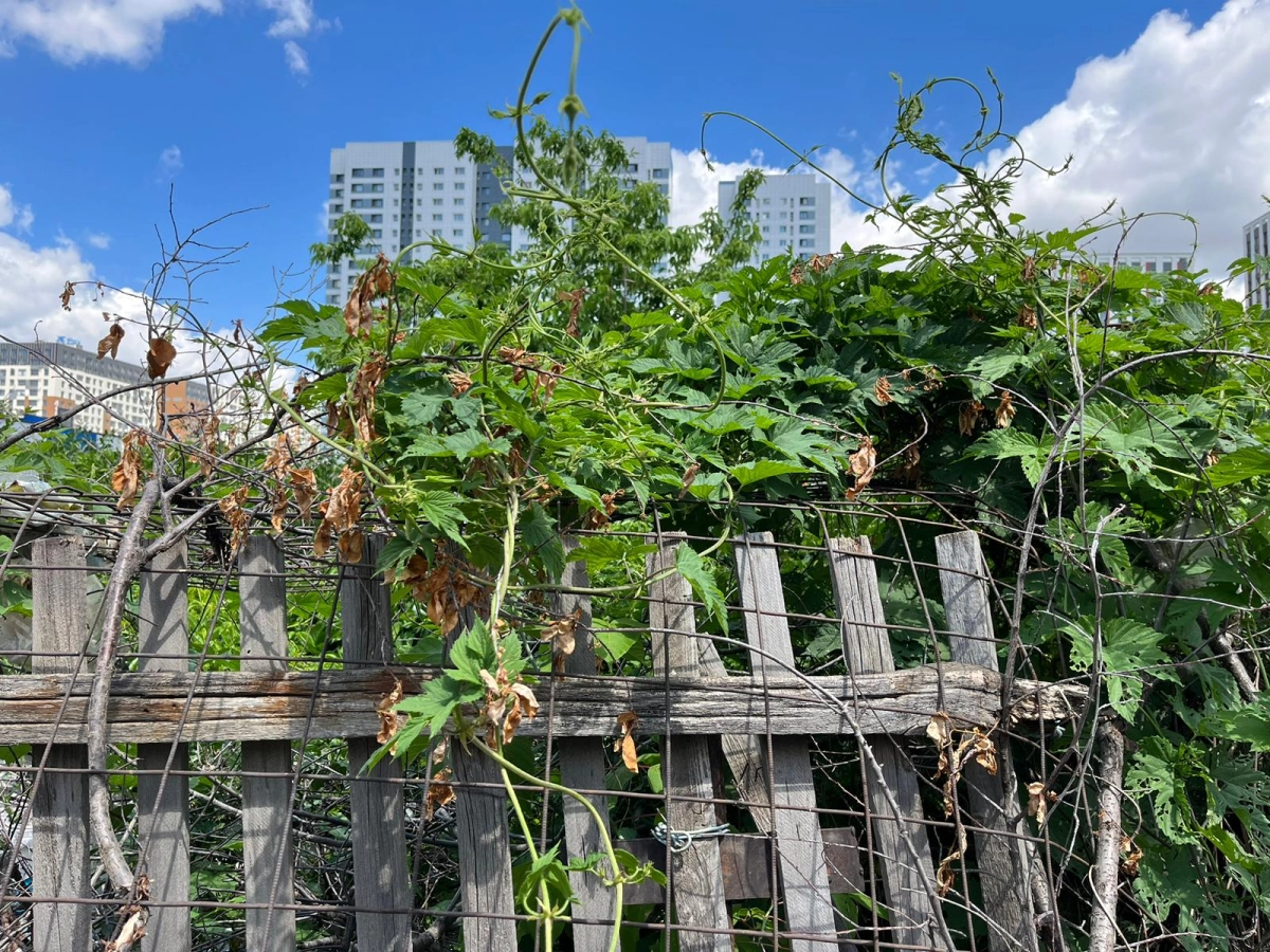 Фото ИА «NewTimes.kz»