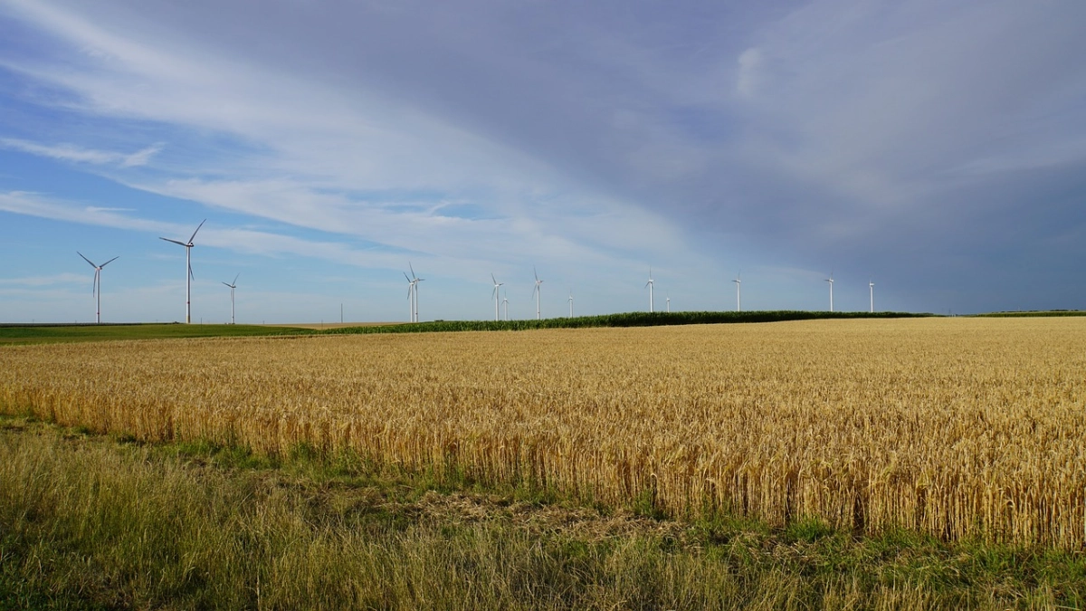 Фото: pixabay.com