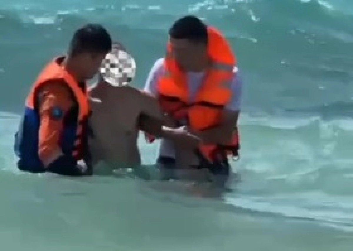 Фото: скриншот из видео