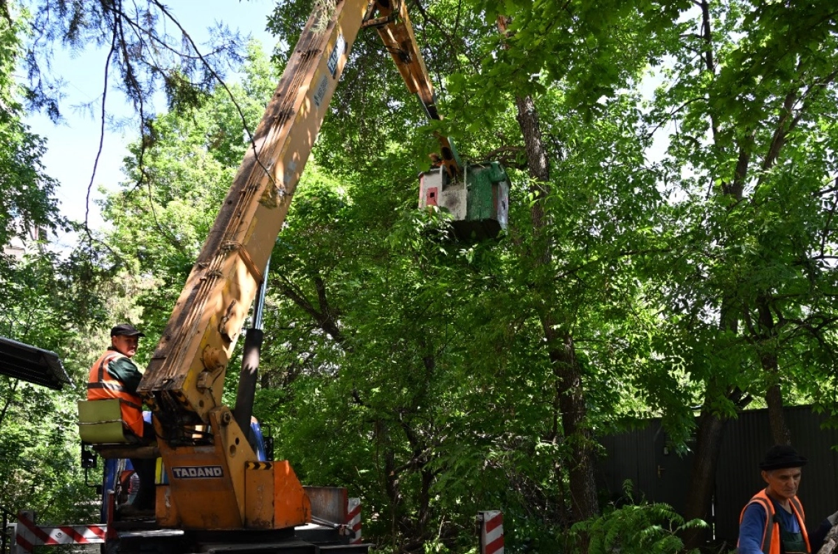 Фото: акимат Алматы