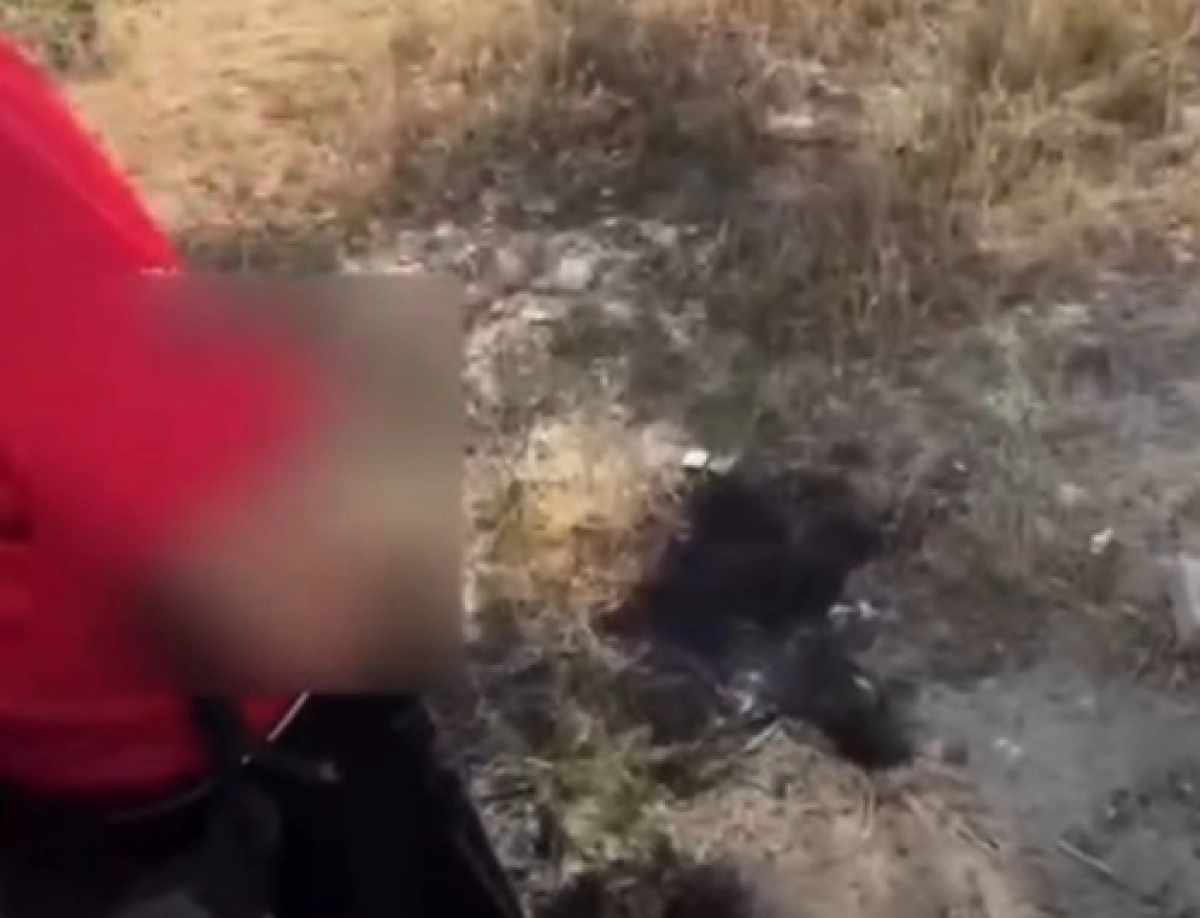 Фото: скриншот из видео