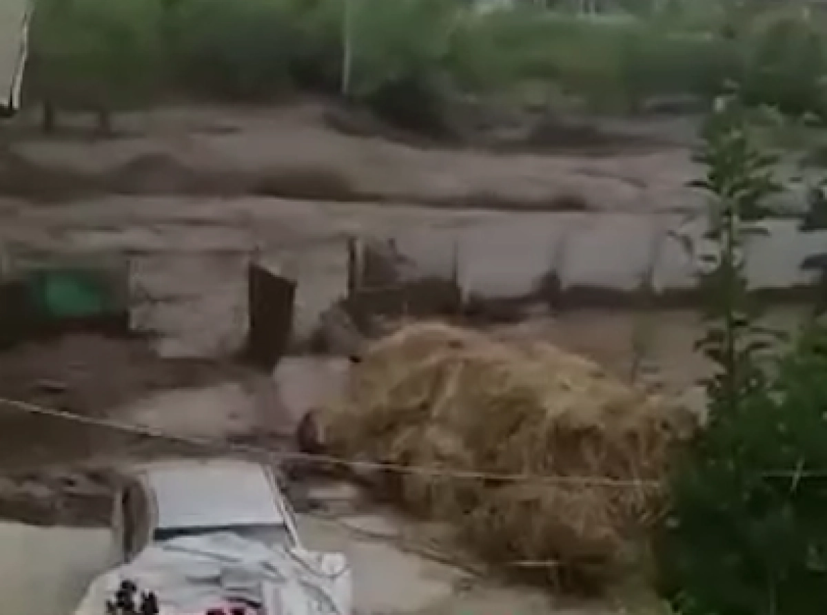 Кадр из видео