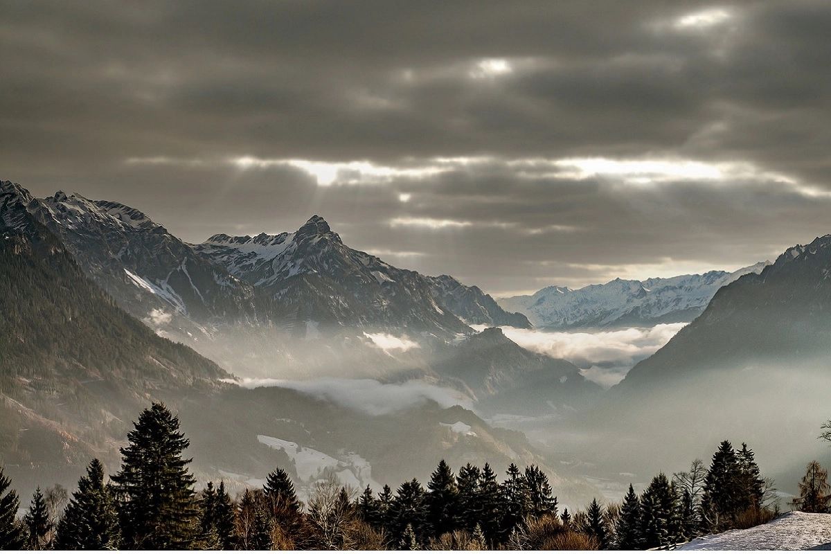 Фото: pixabay.com