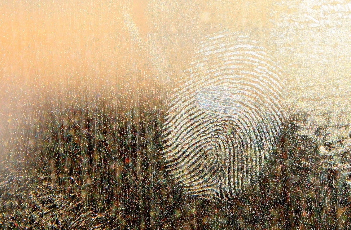 Фото: pixabay