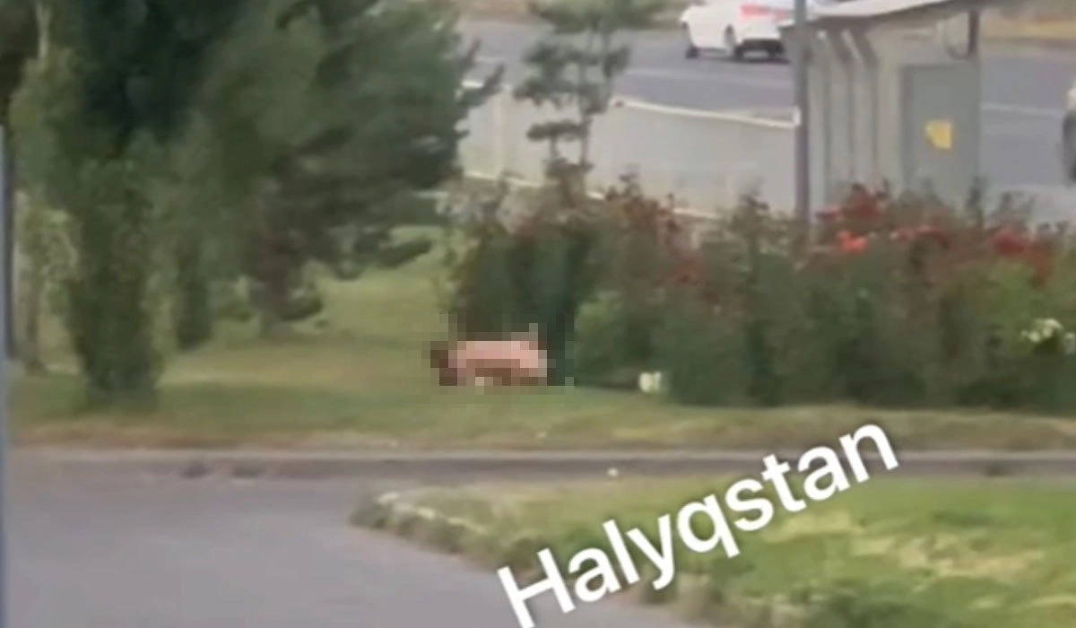 Фото: кадр из видео