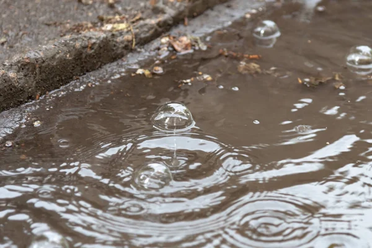 Фото: depositphotos.com