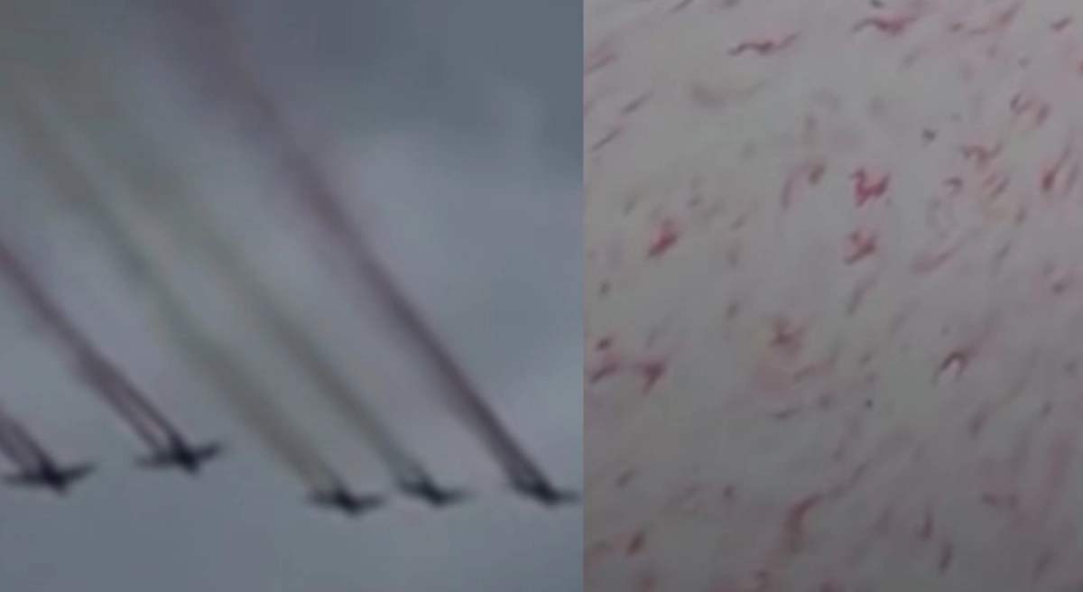Фото: скриншот из видео, коллаж NT