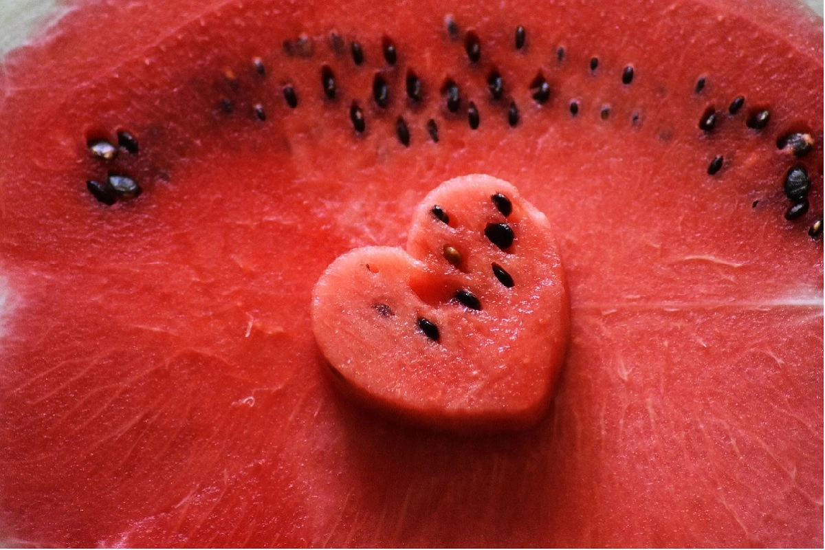 Фото: pixabay.com