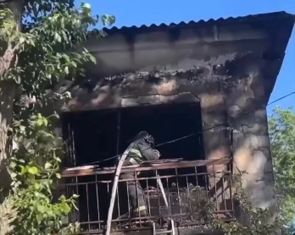 Фото: скриншот из видео