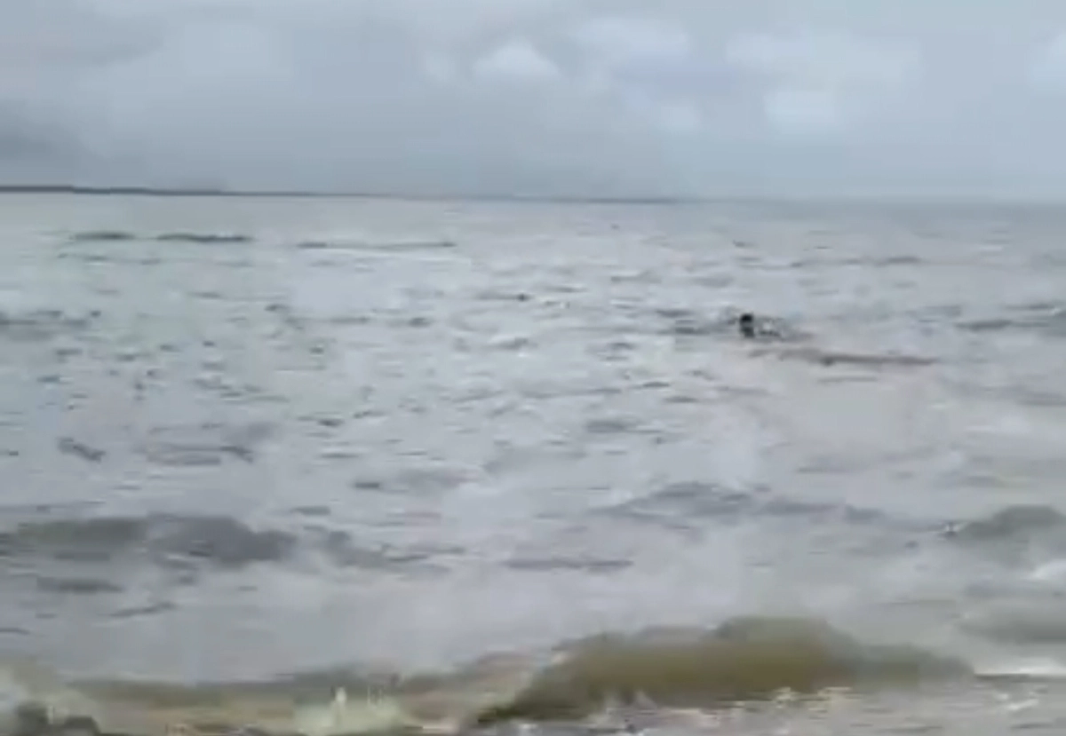 Кадр из видео