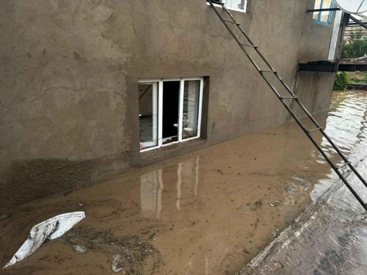 Фото: Акимат Жамбылской области