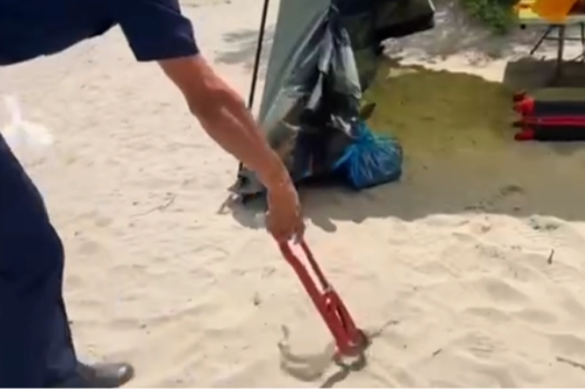 Фото: кадр из видео