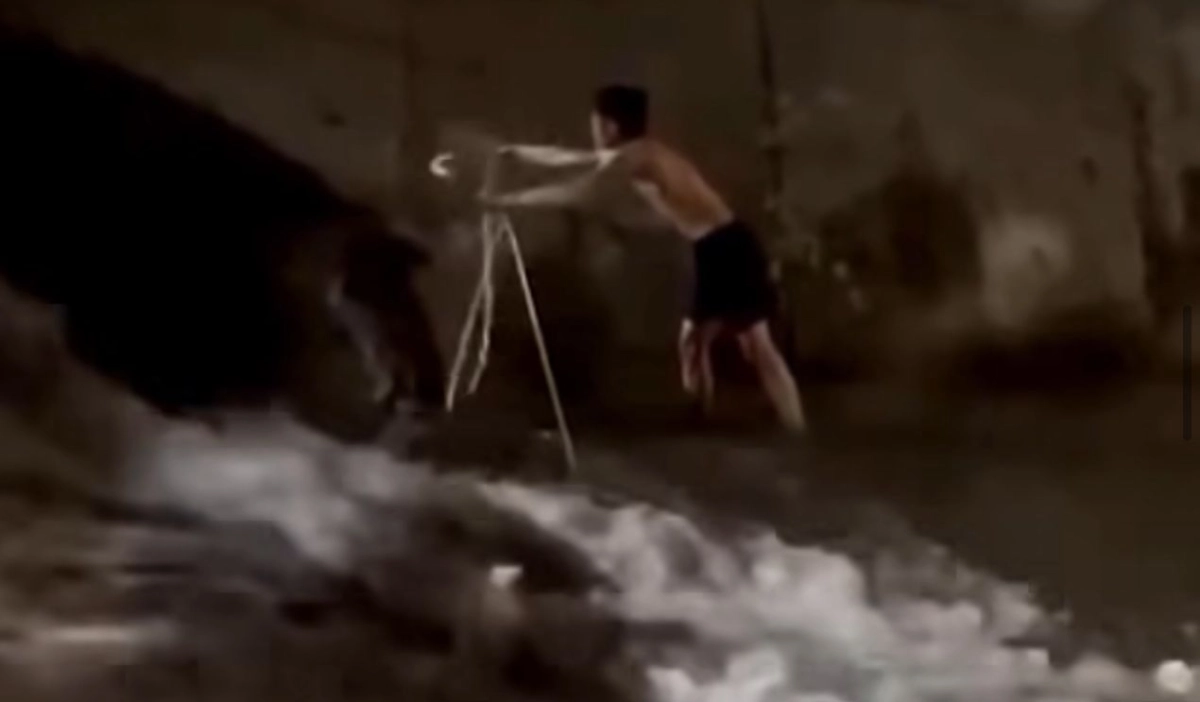 Фото: кадр из видео