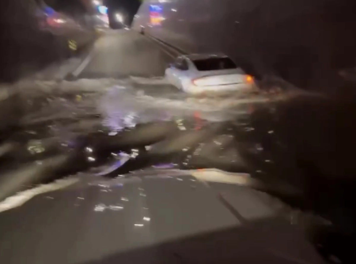 Кадр из видео