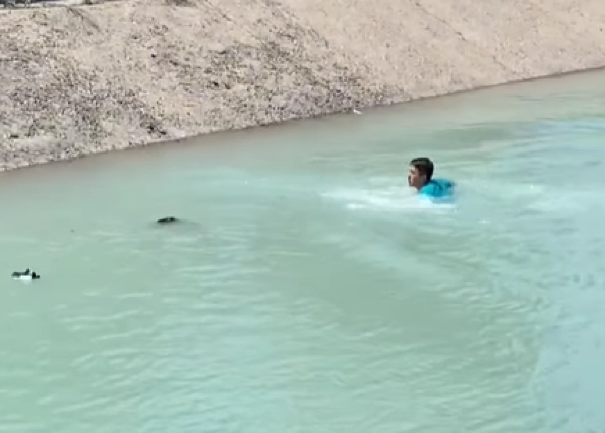 Кадр из видео